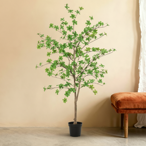 Kunst Tropaeolum