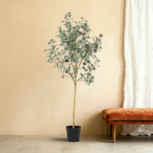 Kunst Eucalyptus