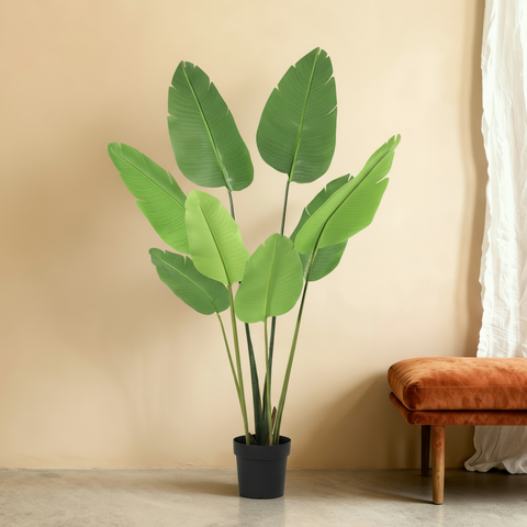 Kunst Strelitzia