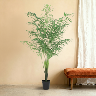 Kunst Areca palm