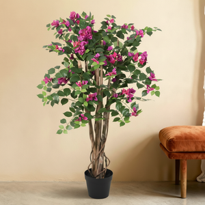 Kunst Bougainvillea