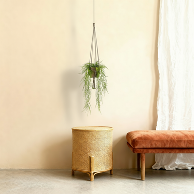 Kunstplant Asparagus | 60cm