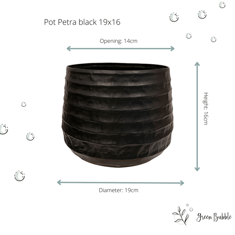 





Potte Petra Sort - Afbeelding 4
