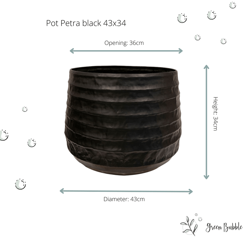 





Potte Petra Sort - Afbeelding 7
