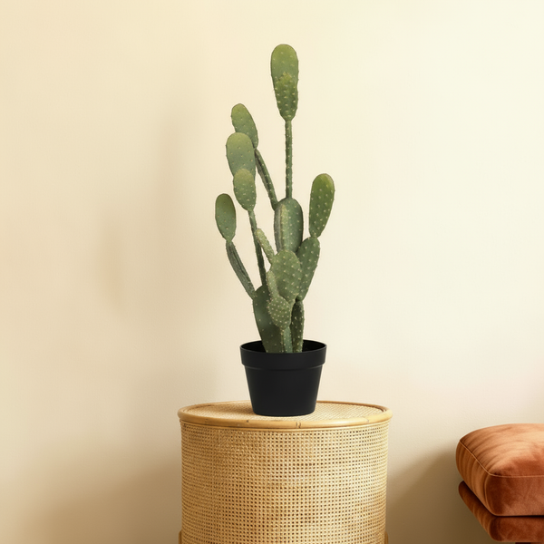 Kunst cactus 'Opuntia' - 72cm