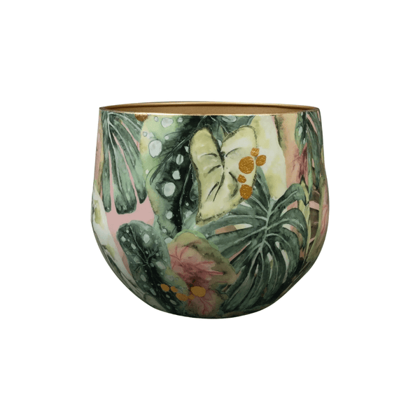 Pot Monstera Mystery