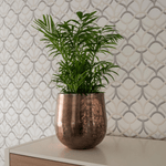 





Pot Christina Copper - Lifestyle foto kunstplant in interieur
 thumbnail
