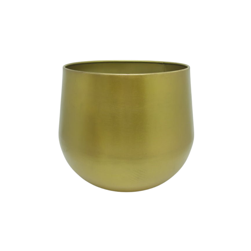 





Květináč Lara Gold - Premium kunstplant van Florafy
