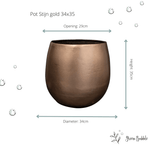 





Doniczka Stijn złota - Afbeelding 5
 thumbnail