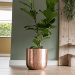 





Pot Christina Copper - Afbeelding 4
 thumbnail