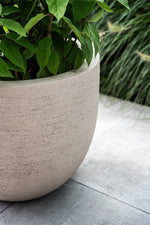 





Pot Terreno new egg sand - Lifestyle foto kunstplant in interieur
 thumbnail