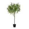 Umělá rostlina Nerium oleander bílá | 150cm