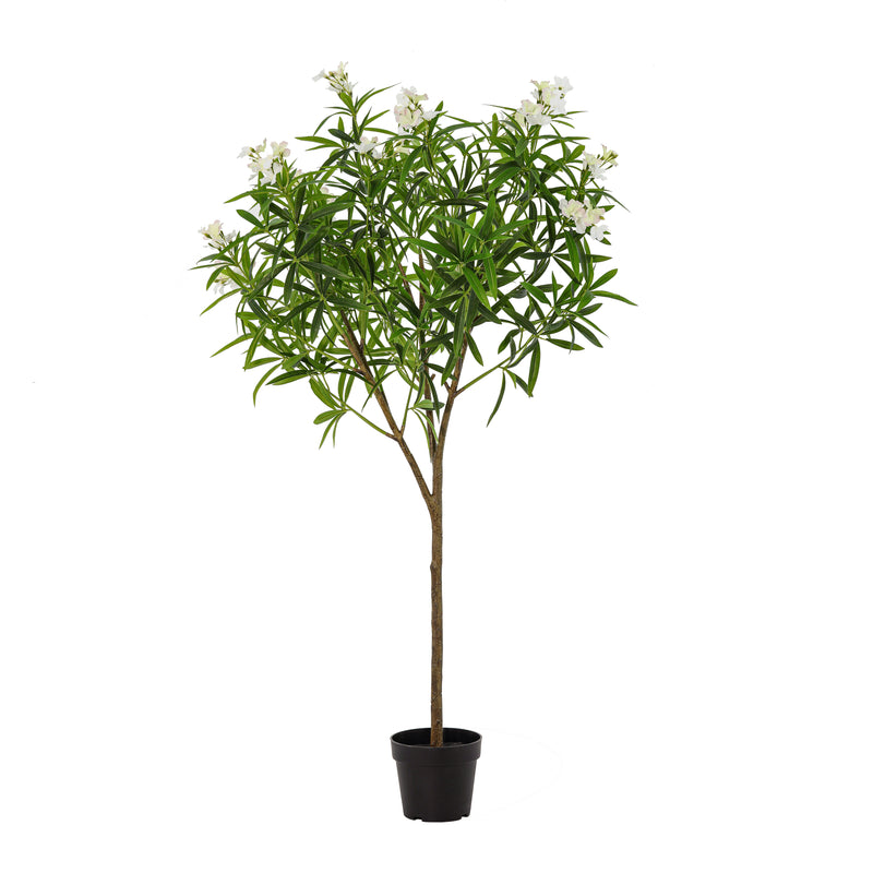 





Umělá rostlina Nerium oleander bílý | 150cm - Premium kunstplant van Florafy
