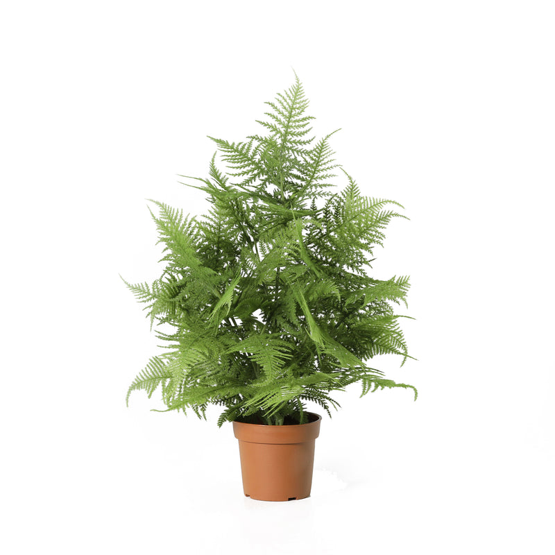 





Kunstig plante Asparagus grøn | 50cm - Premium kunstplant van Florafy
