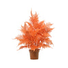 Kunstplant Asparagus light green | 50cm