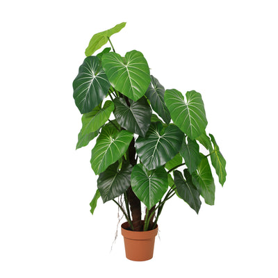 Umělá rostlina Alocasia | 135cm