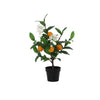 Kunstplant Orange tree | 37cm