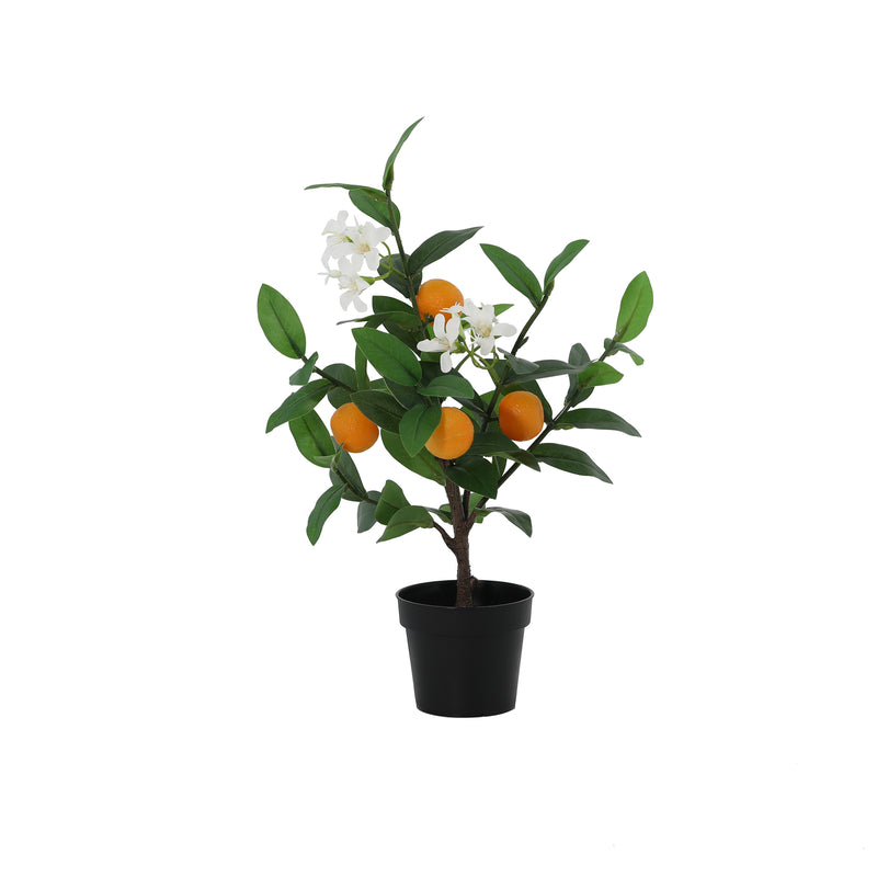 





Konstväxt Apelsinträd | 37cm - Premium kunstplant van Florafy
