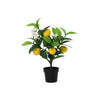 Kunstplant Lemon tree | 37cm