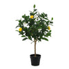 Kunstplant Lemon tree | 83cm