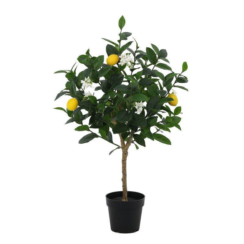 





Konstväxt Citronträd | 83cm - Premium kunstplant van Florafy
