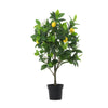 Kunstplant Lemon tree | 80cm