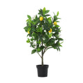 Kunstplant Lemon tree | 80cm
