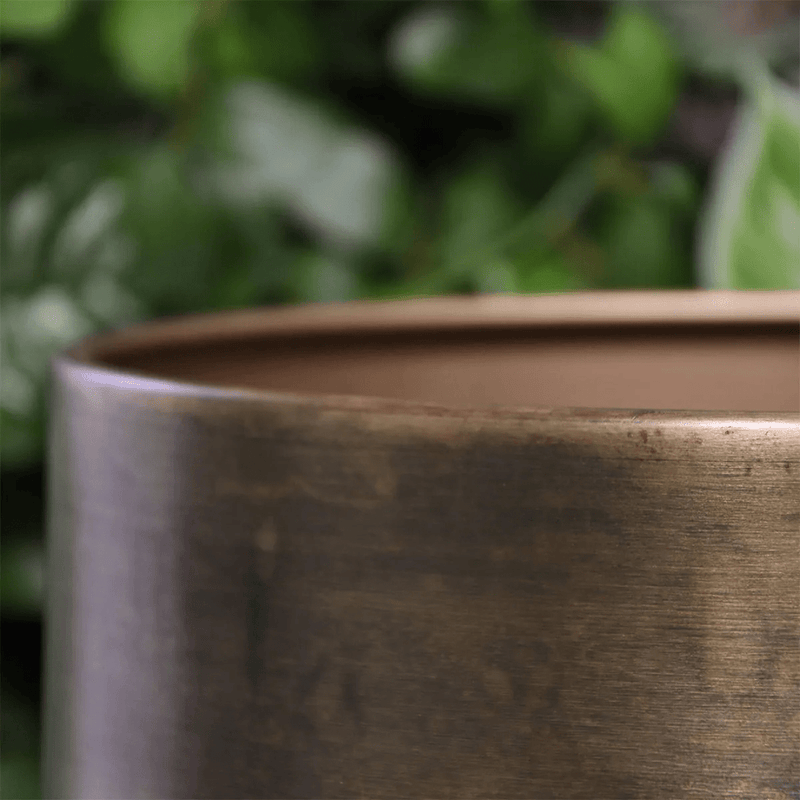 





Pot Sempre vintage gold - Detail view kunstplant
