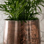 





Pot Christina Copper - Detail view kunstplant
 thumbnail