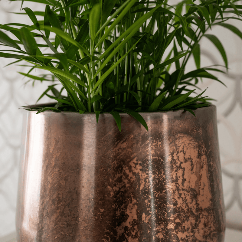 





Pot Christina Copper - Detail view kunstplant
