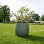 





Kruk Stijn matt grön - Lifestyle foto kunstplant in interieur
 thumbnail