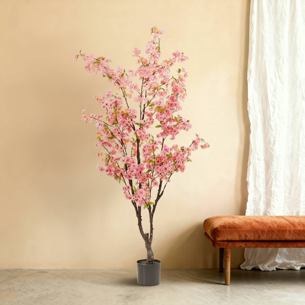 Kunst Cherry 'Kers' Boom - 175cm