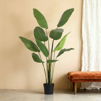 Kunstplant Strelitzia | 182cm