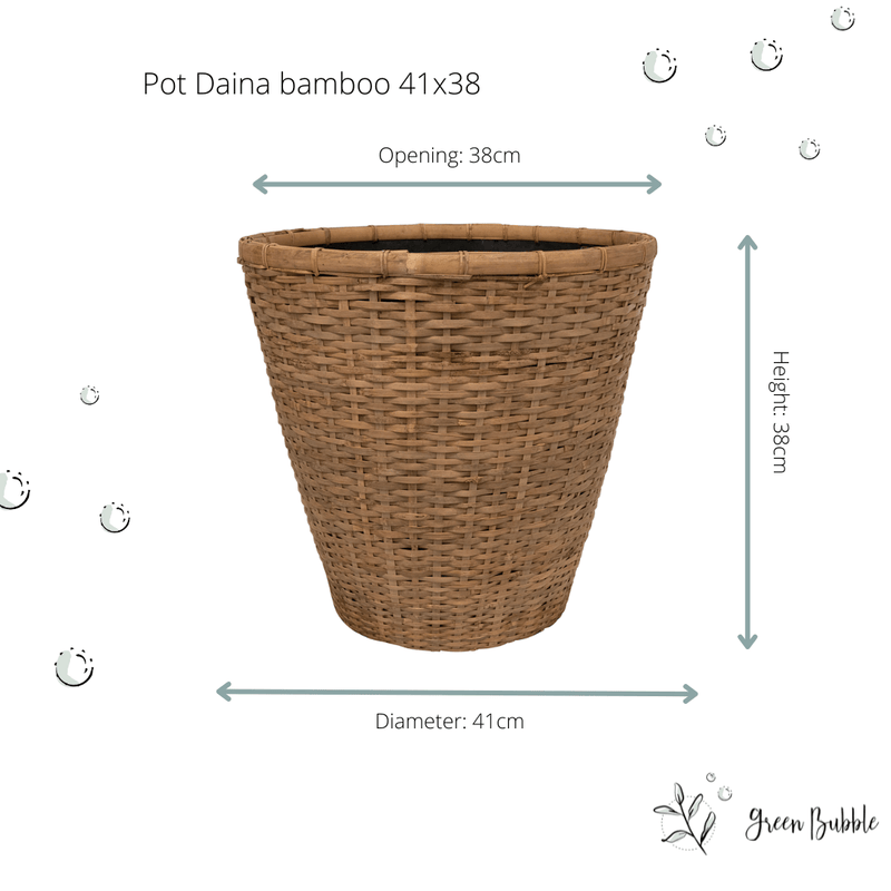 





Pot Daina bamboe - Afbeelding 4
