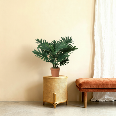Starter Trio | Eerste Kunstplanten Set