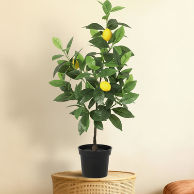 Kunstplant Citroenboom | 65cm