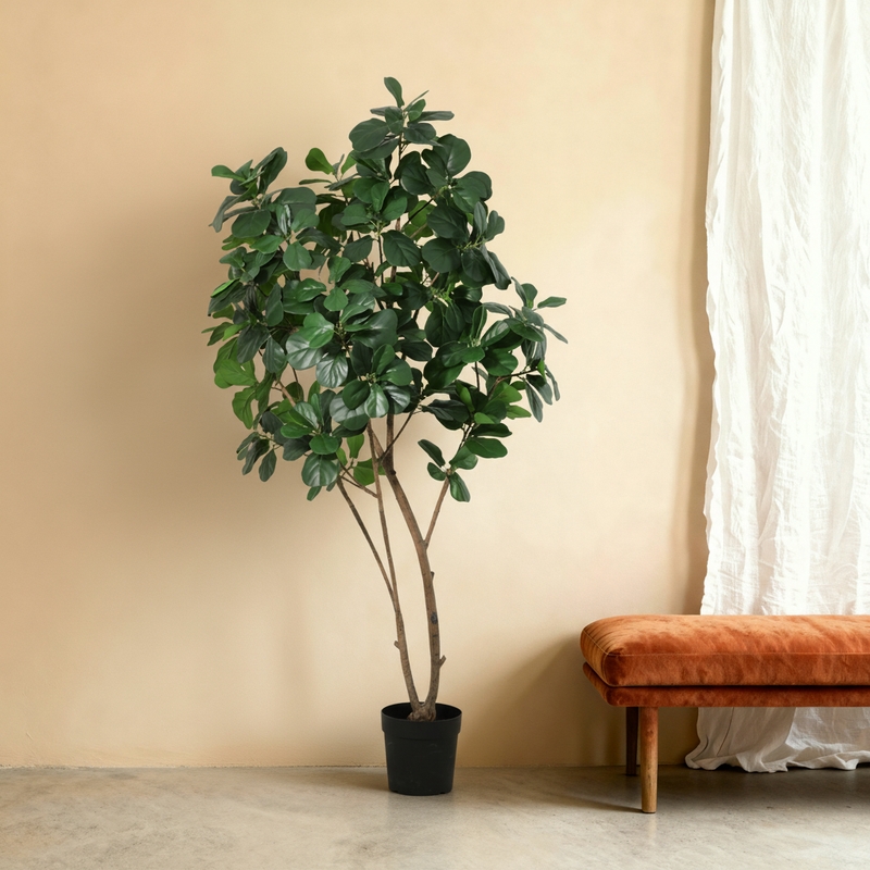 





Kunstplant Ficus Lyrata XL | 180cm - Premium kunstplant van Florafy
