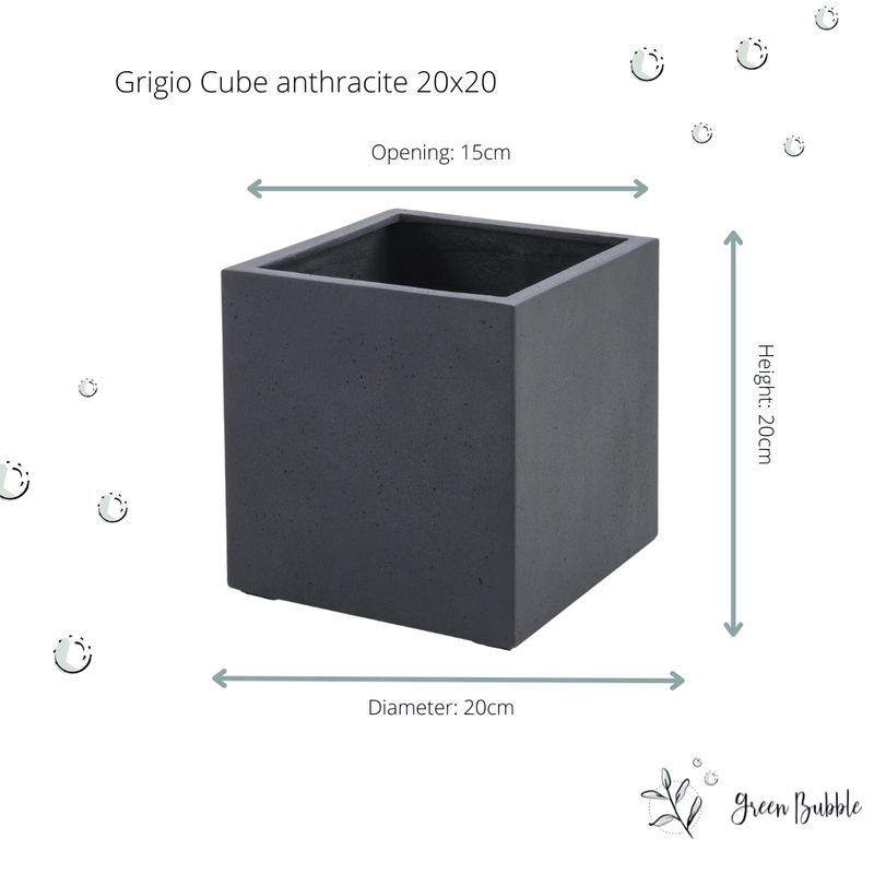 





Topf Grigio Cube Anthrazit - Detail view kunstplant
