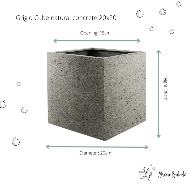 





Pot Grigio Cube Natural concrete - Detail view kunstplant

