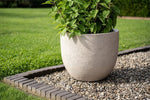 





Pot Terreno new egg sand - Detail view kunstplant
 thumbnail