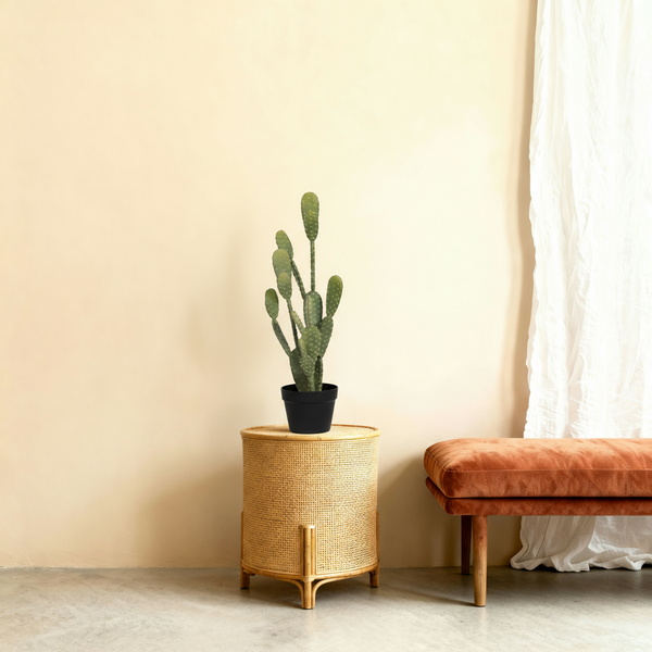 Kunst cactus 'Opuntia' - 72cm