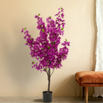 





Umělá Rostlina Bougainvillea | 145cm - Detail view kunstplant
 thumbnail