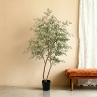 Kunstplant Ficus Cassia | 180cm