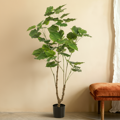 Kunstplant Ficus | 125cm