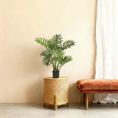 Kunstplant Philodendron Selloum | 80cm