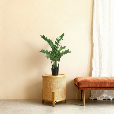 Kunstplant Zamioculcas | 70cm