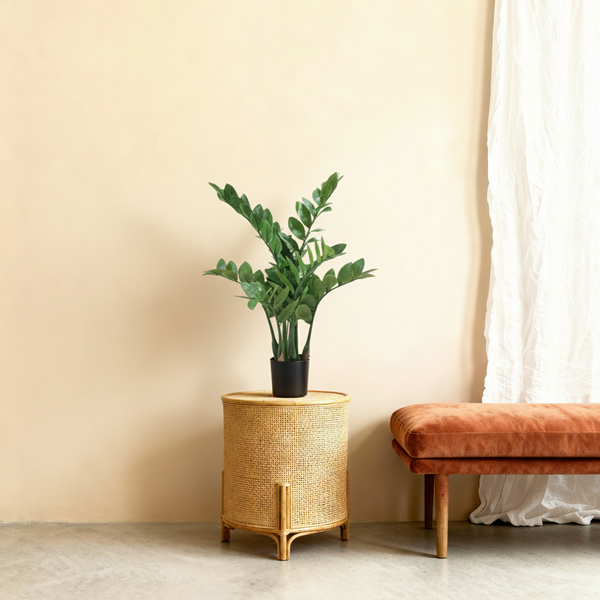 Kunst Zamioculcas 'Geluksvogelplant' - 70cm