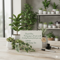 Service de Carte