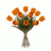 Bouquet di Tulipani Arancioni | 12 Steli