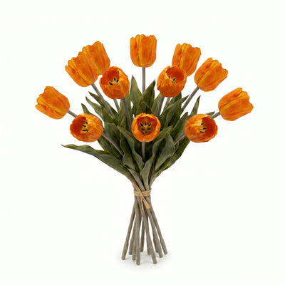 Tulpen boeket Oranje | 12 stelen